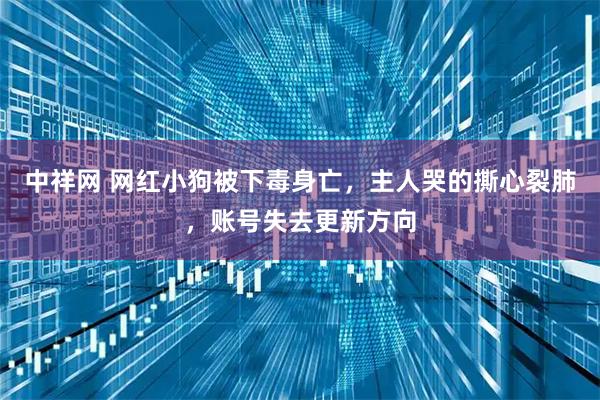 中祥网 网红小狗被下毒身亡，主人哭的撕心裂肺，账号失去更新方向