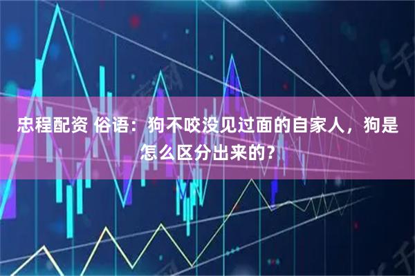 忠程配资 俗语：狗不咬没见过面的自家人，狗是怎么区分出来的？