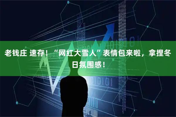 老钱庄 速存！“网红大雪人”表情包来啦，拿捏冬日氛围感！